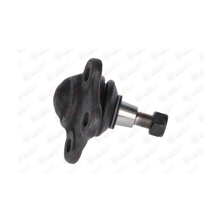 Šarnyras / girgždukas BIRTH CX0012