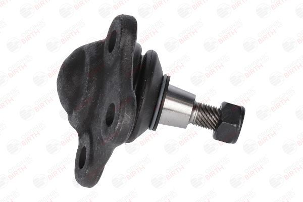 Šarnyras / girgždukas BIRTH CX0012