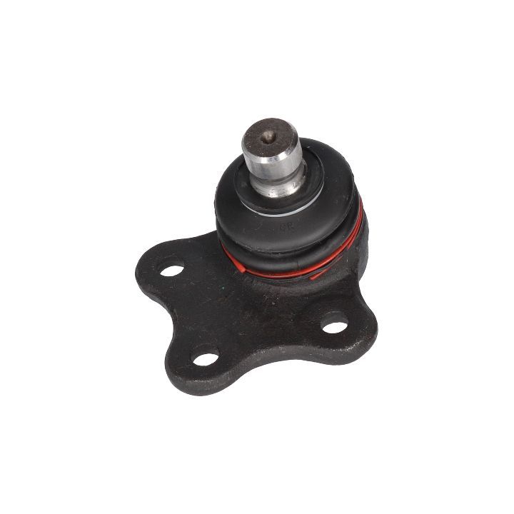 Šarnyras / girgždukas BIRTH CX0017