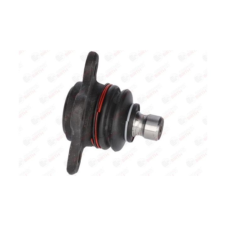 Šarnyras / girgždukas BIRTH CX0017