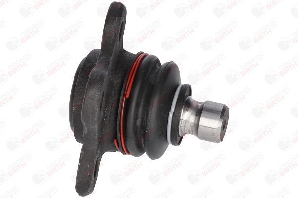 Šarnyras / girgždukas BIRTH CX0017