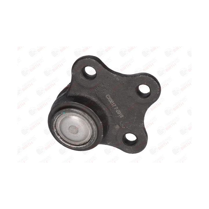 Šarnyras / girgždukas BIRTH CX0017