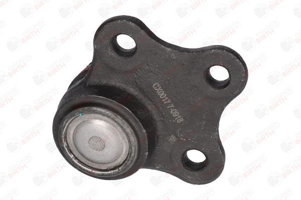 Šarnyras / girgždukas BIRTH CX0017