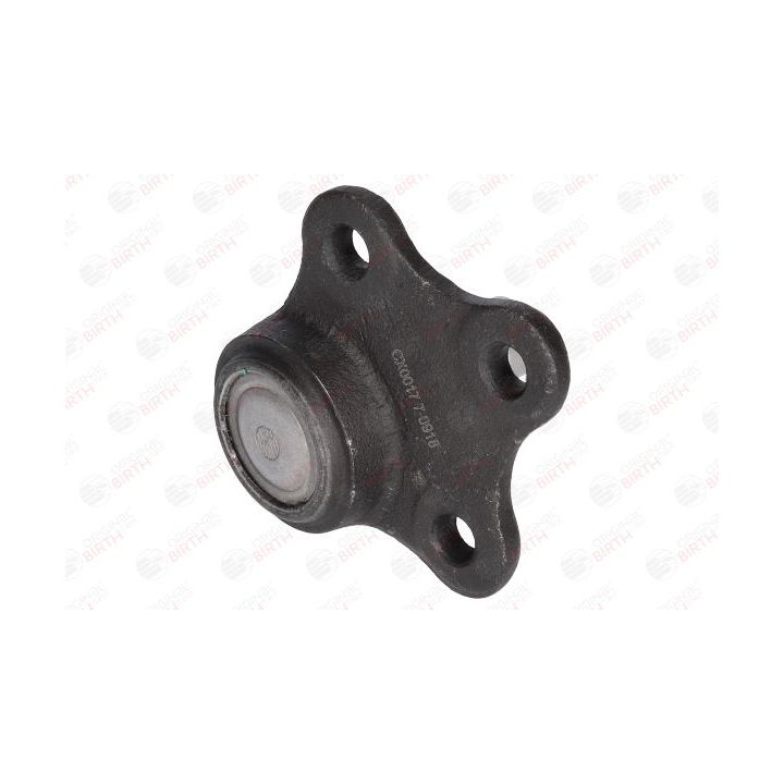 Šarnyras / girgždukas BIRTH CX0017