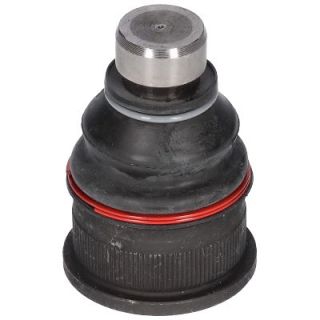 Šarnyras / girgždukas BIRTH CX0020