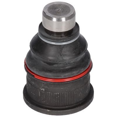 Šarnyras / girgždukas BIRTH CX0020