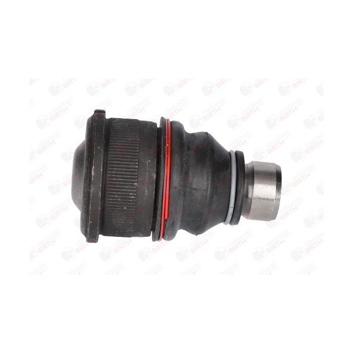 Šarnyras / girgždukas BIRTH CX0020