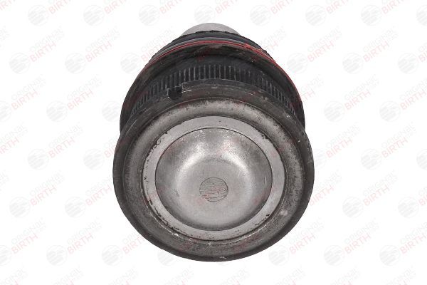 Šarnyras / girgždukas BIRTH CX0020