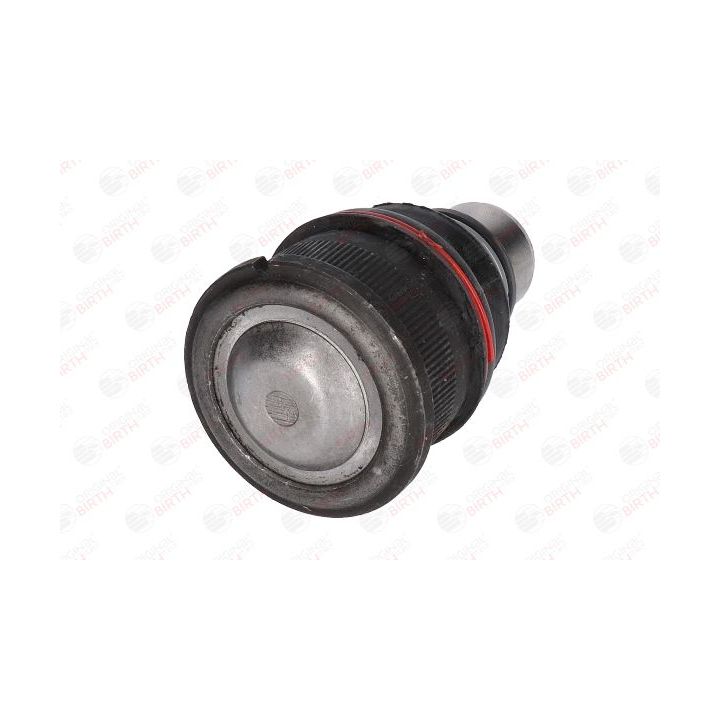 Šarnyras / girgždukas BIRTH CX0020