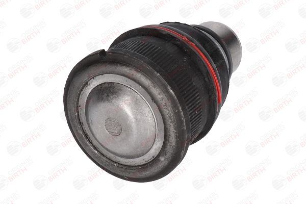 Šarnyras / girgždukas BIRTH CX0020