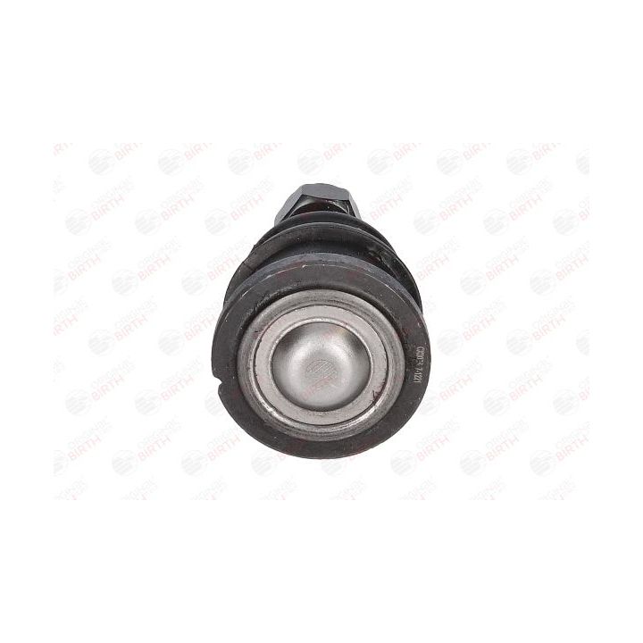 Šarnyras / girgždukas BIRTH CX0026