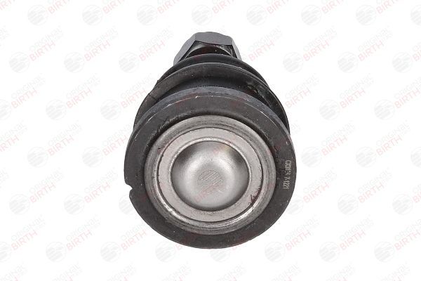 Šarnyras / girgždukas BIRTH CX0026