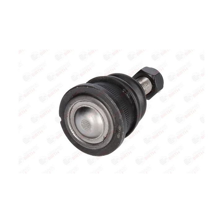 Šarnyras / girgždukas BIRTH CX0026