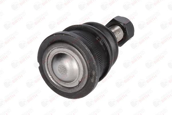 Šarnyras / girgždukas BIRTH CX0026