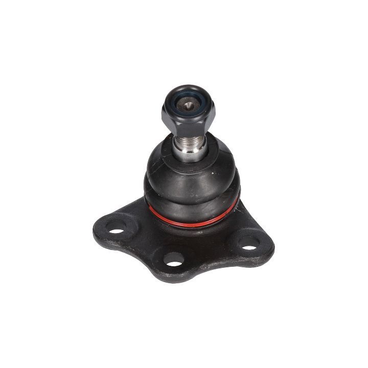 Šarnyras / girgždukas BIRTH CX0027