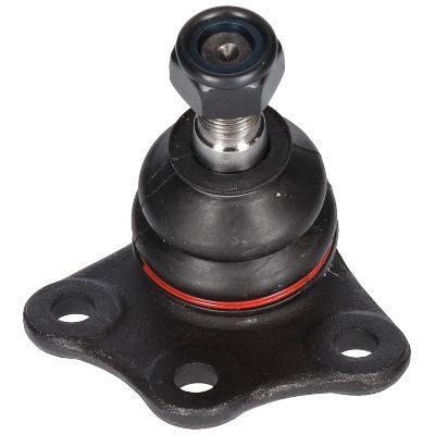 Šarnyras / girgždukas BIRTH CX0027