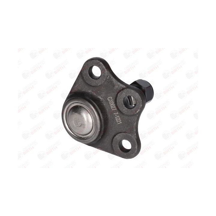 Šarnyras / girgždukas BIRTH CX0027