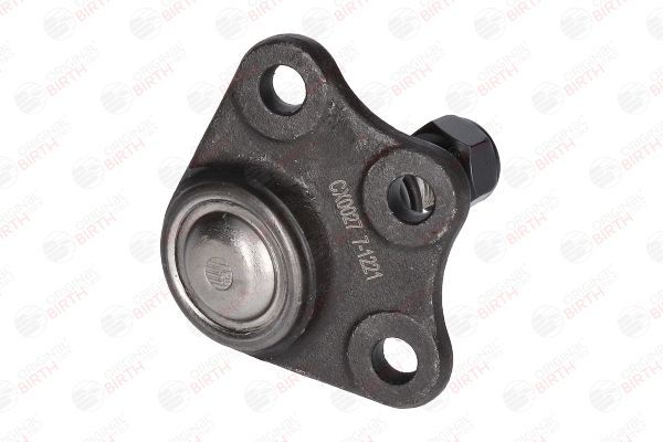 Šarnyras / girgždukas BIRTH CX0027