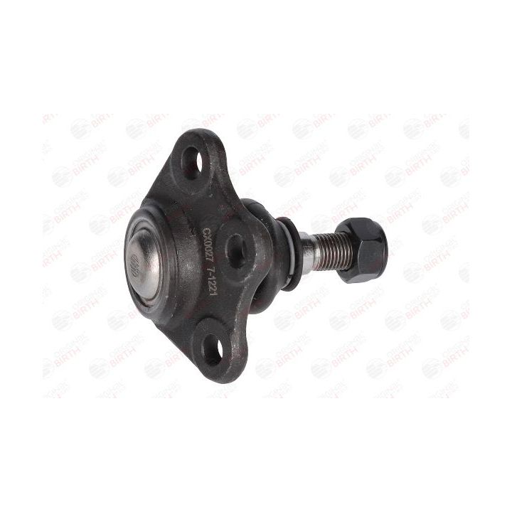 Šarnyras / girgždukas BIRTH CX0027