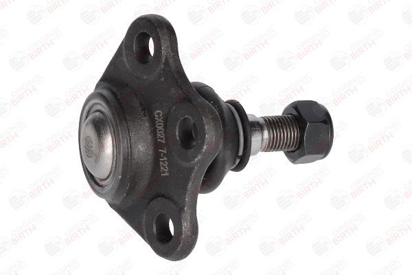 Šarnyras / girgždukas BIRTH CX0027