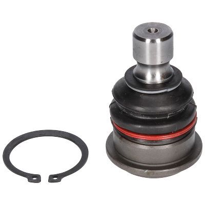 Šarnyras / girgždukas BIRTH CX0029