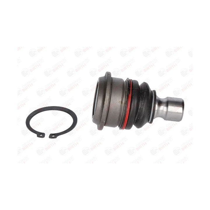 Šarnyras / girgždukas BIRTH CX0029