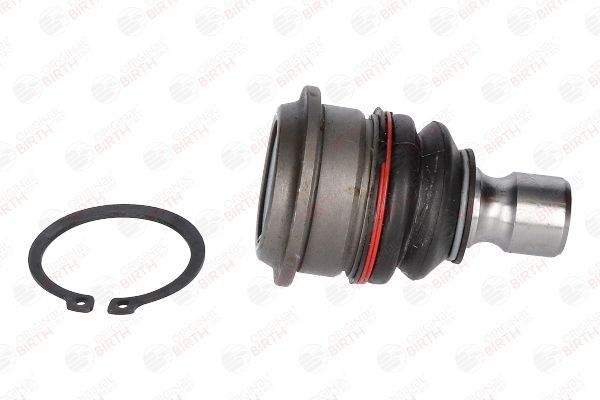 Šarnyras / girgždukas BIRTH CX0029