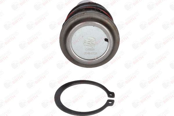 Šarnyras / girgždukas BIRTH CX0029