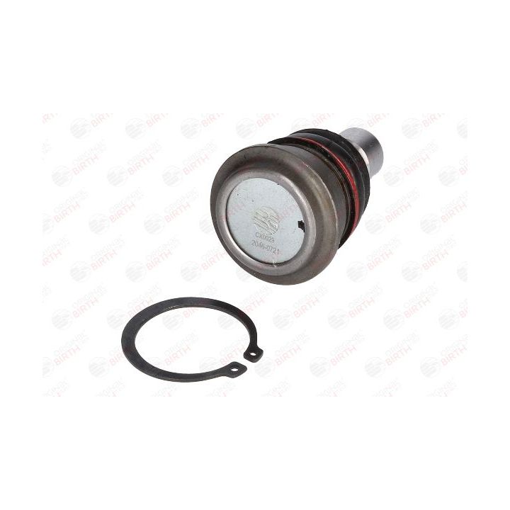 Šarnyras / girgždukas BIRTH CX0029