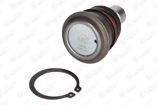 Šarnyras / girgždukas BIRTH CX0029