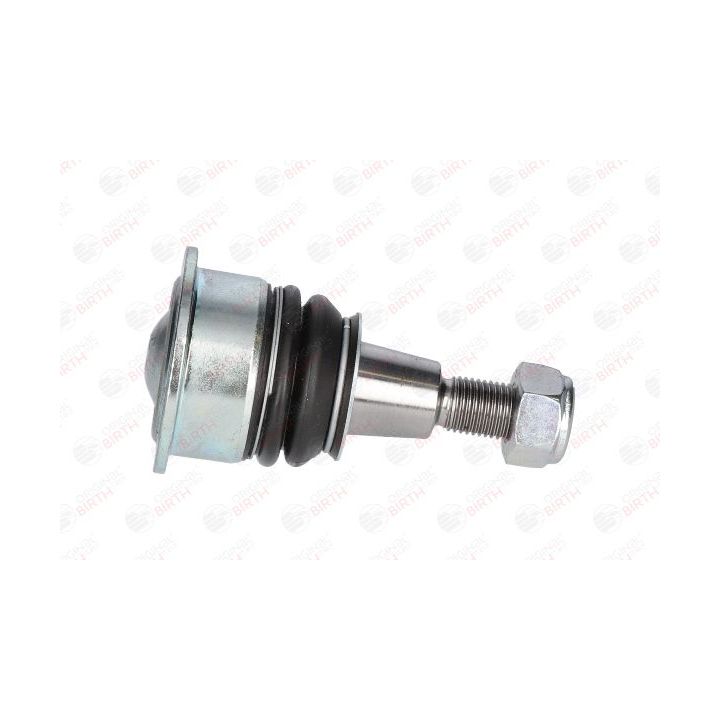 Šarnyras / girgždukas BIRTH CX0030