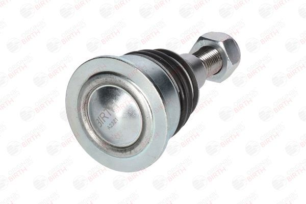 Šarnyras / girgždukas BIRTH CX0030