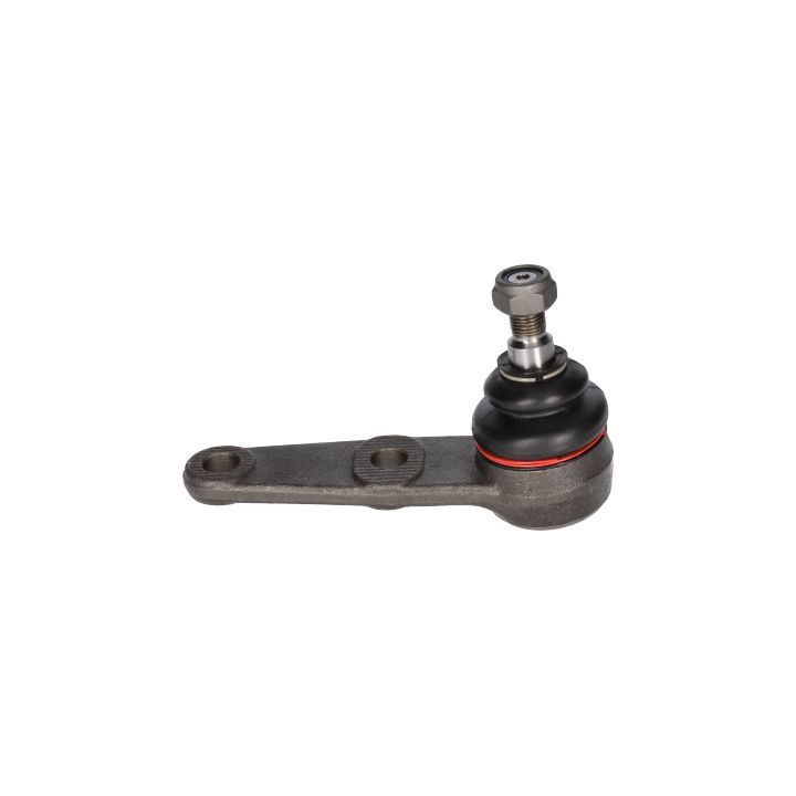 Šarnyras / girgždukas BIRTH CX0036