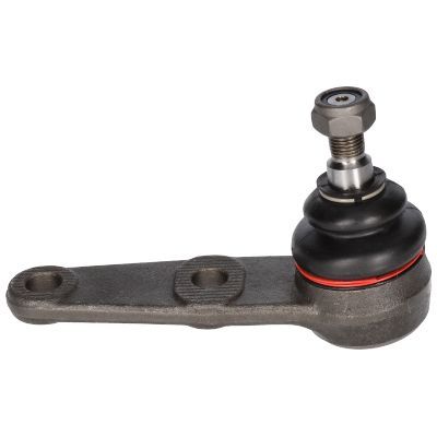 Šarnyras / girgždukas BIRTH CX0036