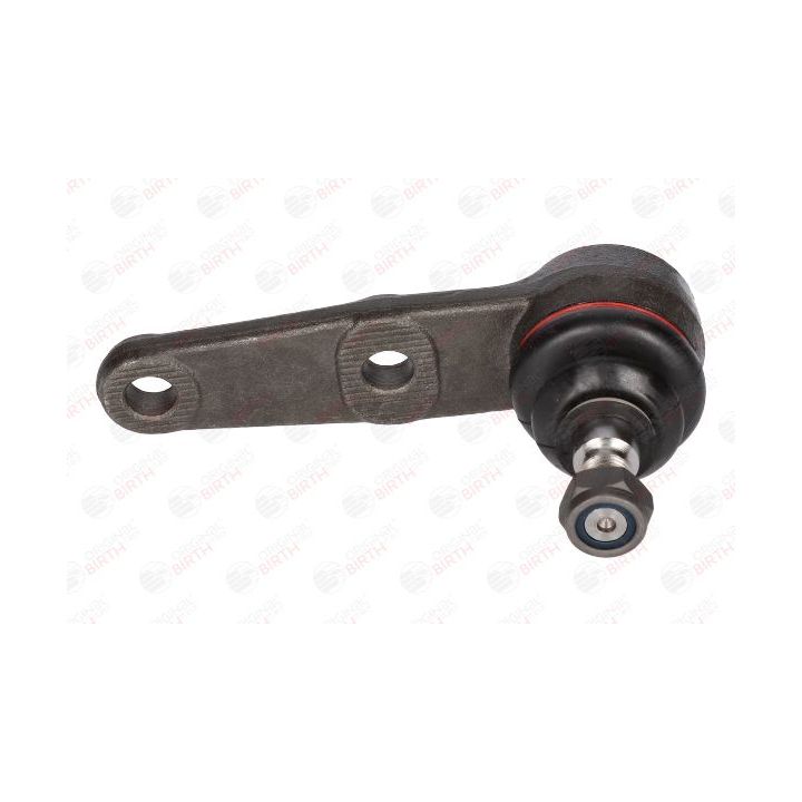 Šarnyras / girgždukas BIRTH CX0036