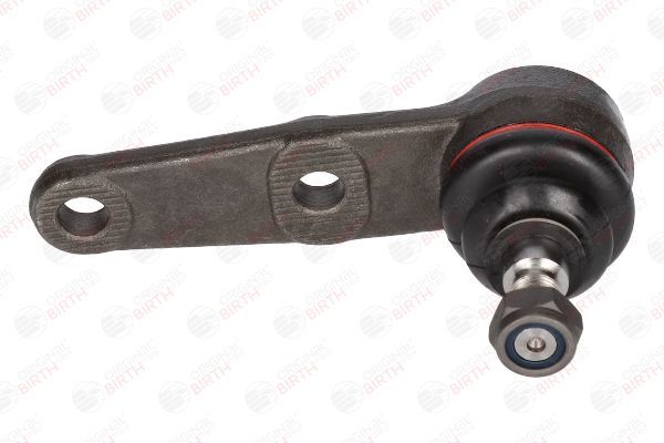 Šarnyras / girgždukas BIRTH CX0036