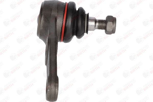 Šarnyras / girgždukas BIRTH CX0036