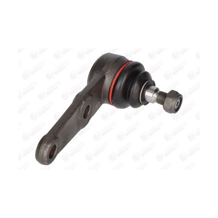 Šarnyras / girgždukas BIRTH CX0036