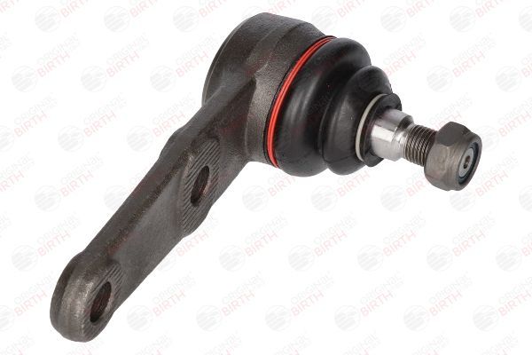 Šarnyras / girgždukas BIRTH CX0036