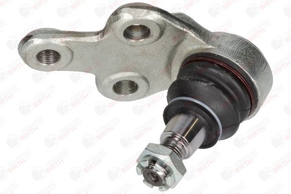 Šarnyras / girgždukas BIRTH CX0045