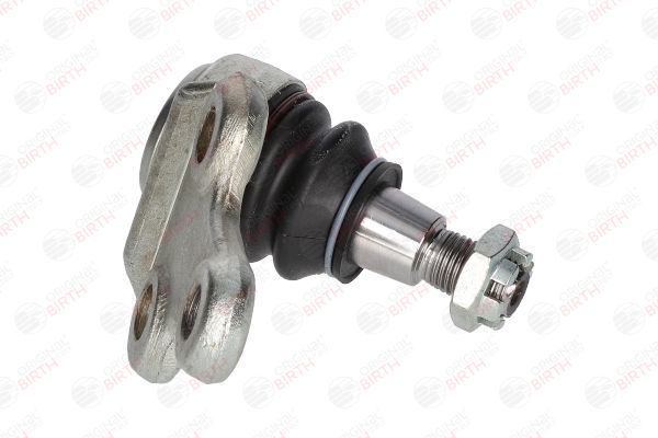 Šarnyras / girgždukas BIRTH CX0045