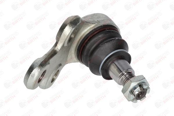 Šarnyras / girgždukas BIRTH CX0045