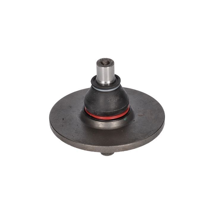 Šarnyras / girgždukas BIRTH CX0046