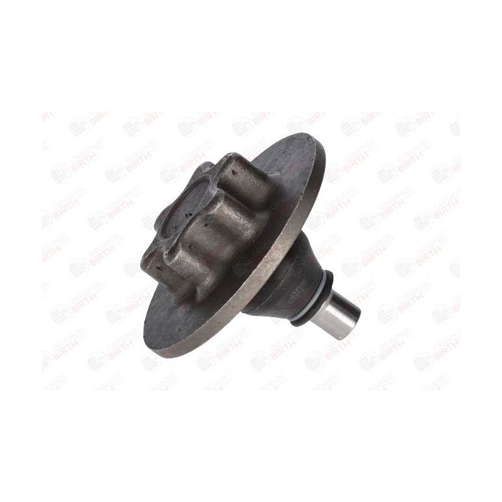 Šarnyras / girgždukas BIRTH CX0046