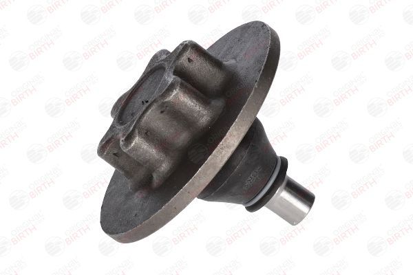 Šarnyras / girgždukas BIRTH CX0046