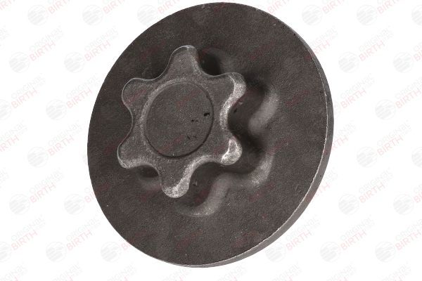 Šarnyras / girgždukas BIRTH CX0046