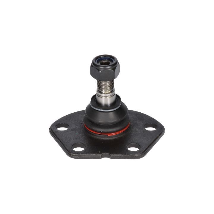 Šarnyras / girgždukas BIRTH CX0047