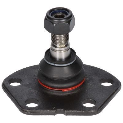 Šarnyras / girgždukas BIRTH CX0047