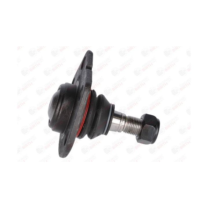 Šarnyras / girgždukas BIRTH CX0047