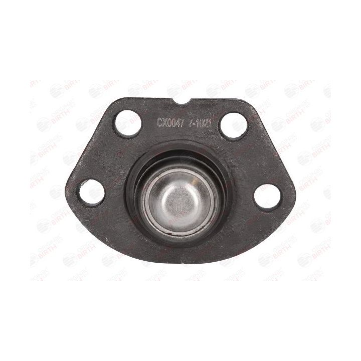 Šarnyras / girgždukas BIRTH CX0047